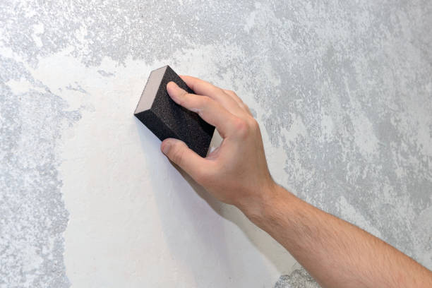 Best Mold Damage Restoration  in Mount Airy, NC