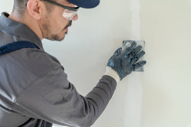 Trusted Mount Airy, NC Mold Removal Experts