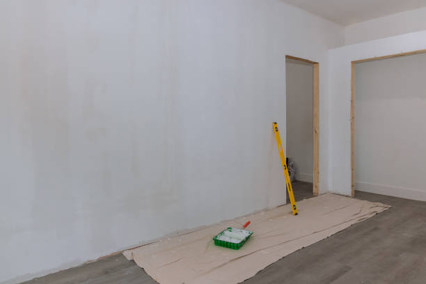 Best Black Mold Removal  in Mount Airy, NC