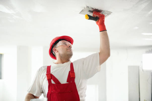 Best Real Estate Mold Inspection  in Mount Airy, NC