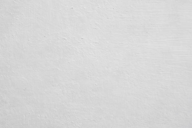 Best Commercial Mold Inspection  in Mount Airy, NC