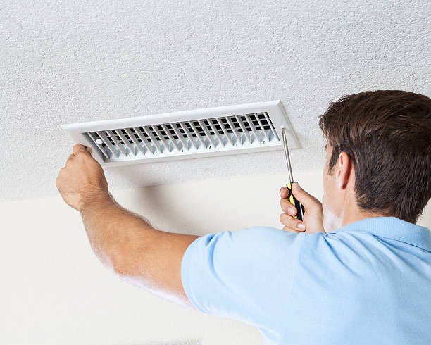Best Basement Mold Removal  in Mount Airy, NC