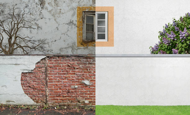 Best Mold Removal for HVAC Installations  in Mount Airy, NC