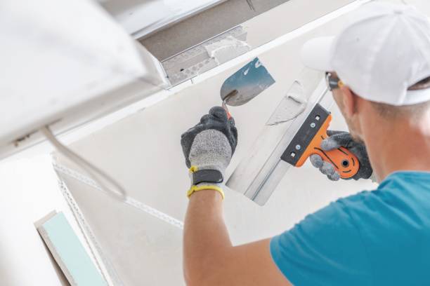 Best Biohazard Mold Removal  in Mount Airy, NC